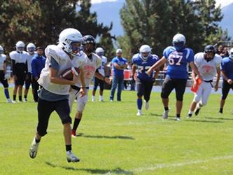 Tiger football carrying the ball