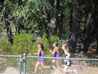 Cross country girls running during the race