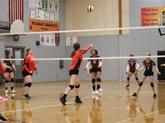 volleyball hit