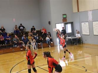volleyball team