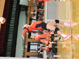 volleyball serve