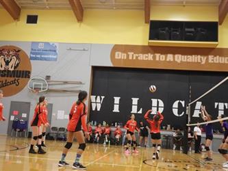 volleyball hit