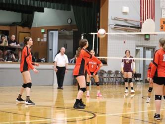 volleyball team