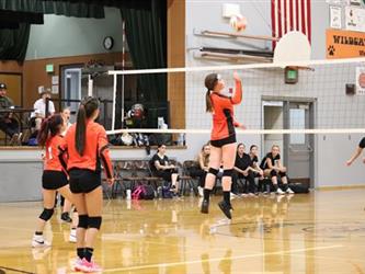 volleyball hit
