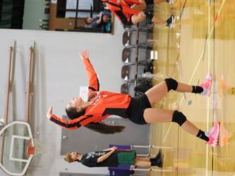 volleyball serve