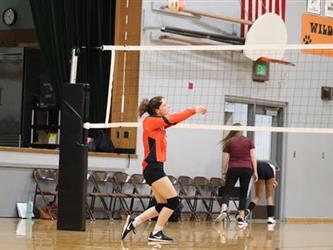 volleyball hit