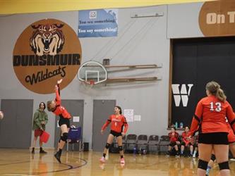 volleyball hit