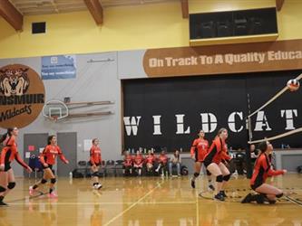 volleyball team
