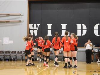 volleyball team