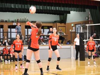volleyball hit