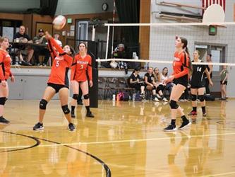 volleyball hit