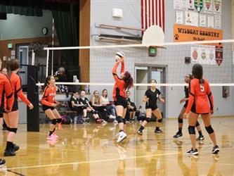 volleyball hit