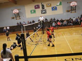 volleyball team