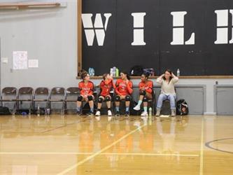 volleyball sideline