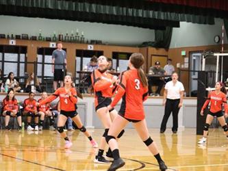 volleyball hit
