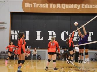 volleyball tip