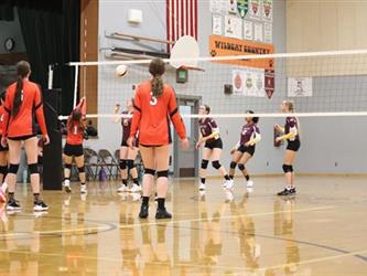 volleyball team