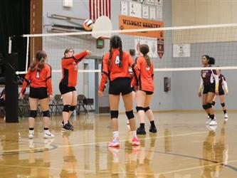volleyball hit