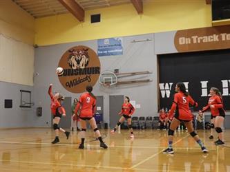 volleyball hit
