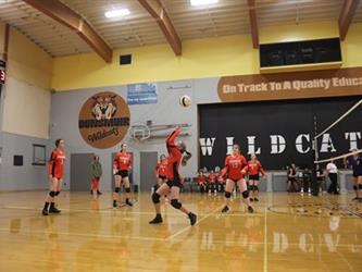 volleyball hit