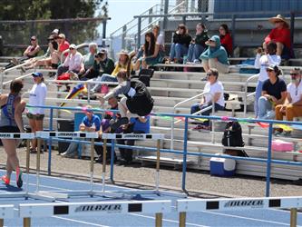 hurdles