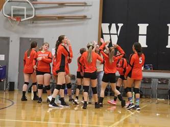volleyball team