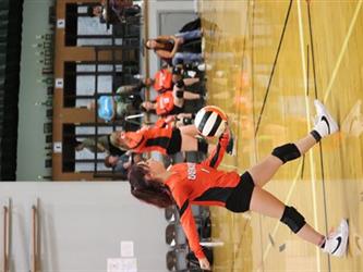 volleyball serve