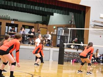 volleyball team