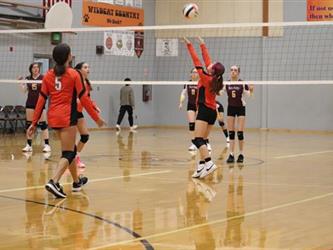 volleyball hit