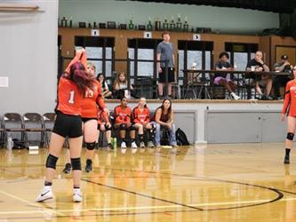 volleyball hit