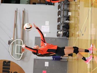 volleyball serve